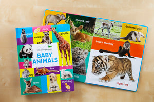 Early Learning Baby Animals